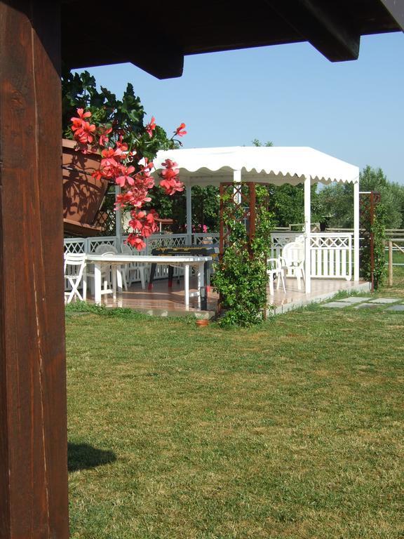 Agriturismo La Casa Della Lavanda - Il Rustico Маріна-ді-Монтемарчано Екстер'єр фото